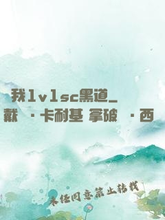給我1v1sc黑道